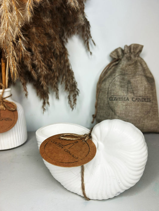 Periwinkle Shell Candle