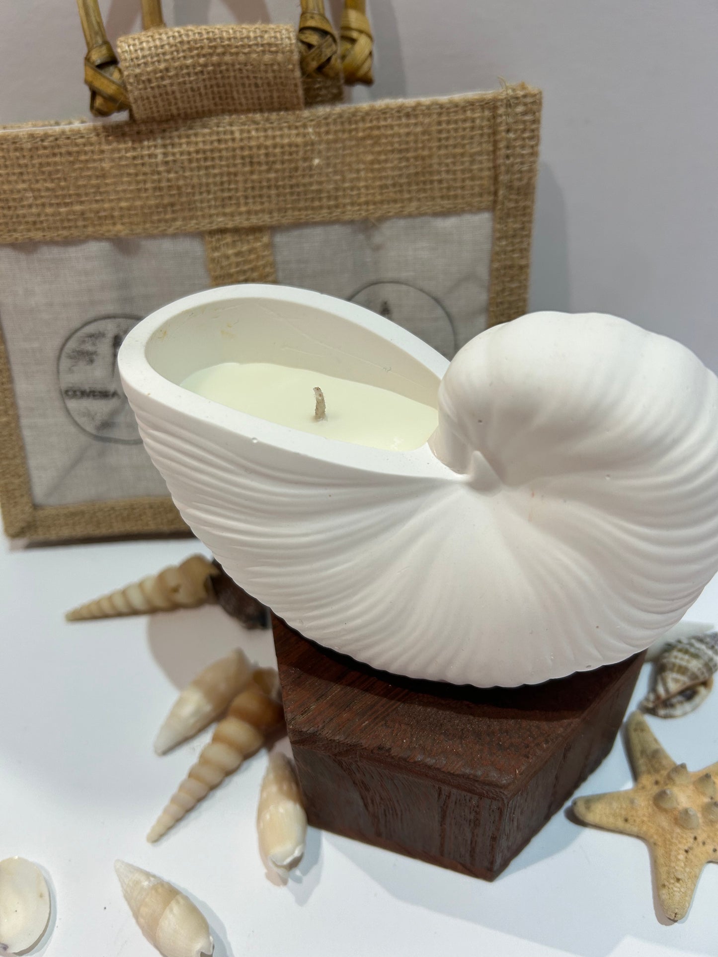 Periwinkle Shell Candle