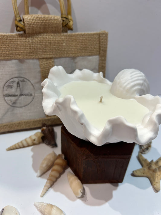 Baby Clam Shell Candle