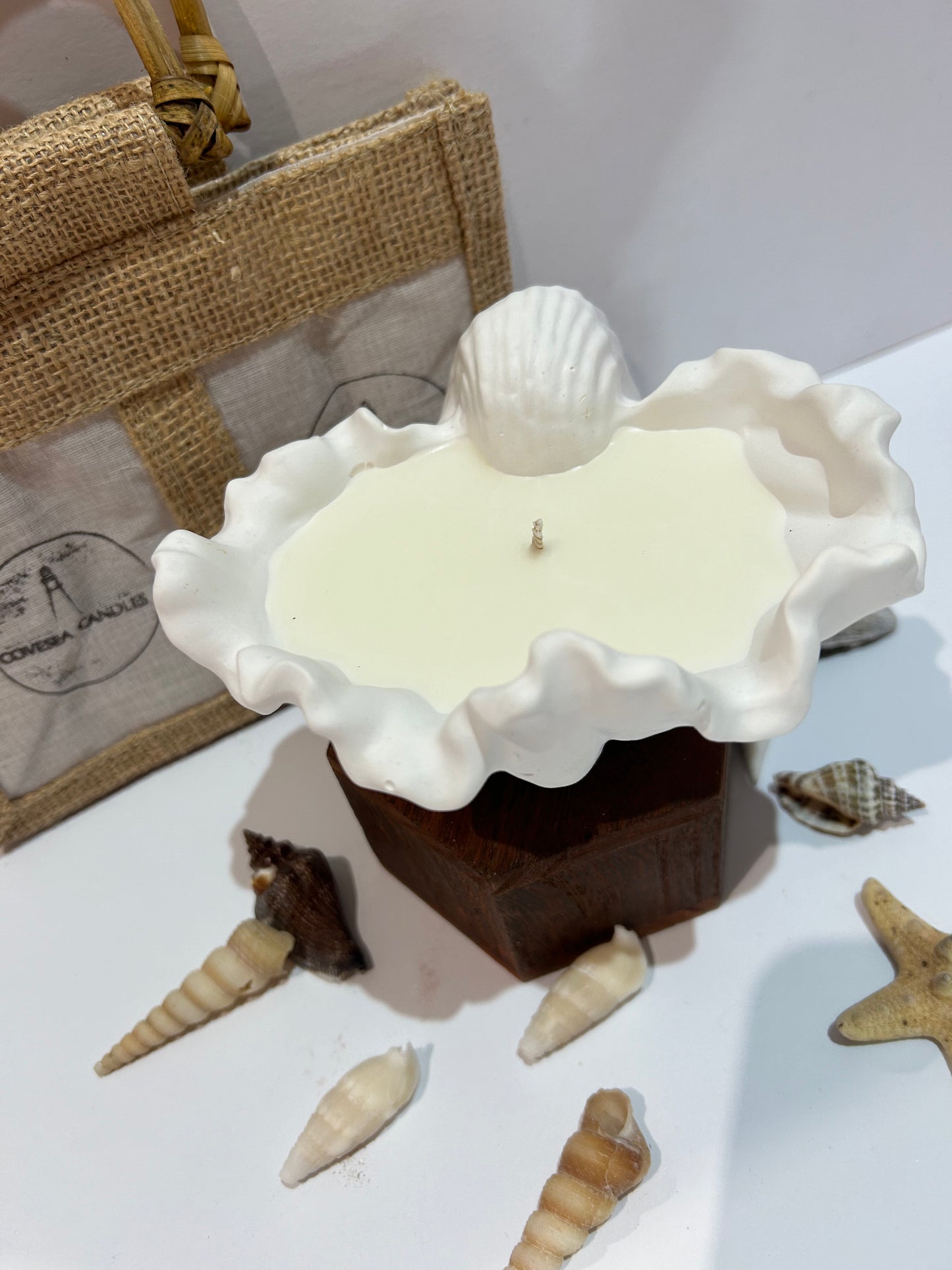 Baby Clam Shell Candle