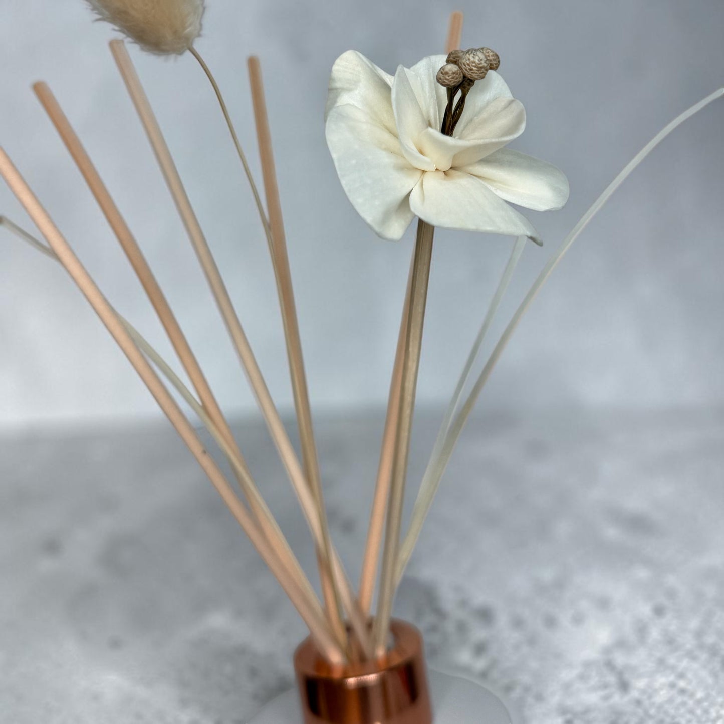 Steamboat Martini Luxury Flower Reed Diffuser ✨ £10 Tuesday