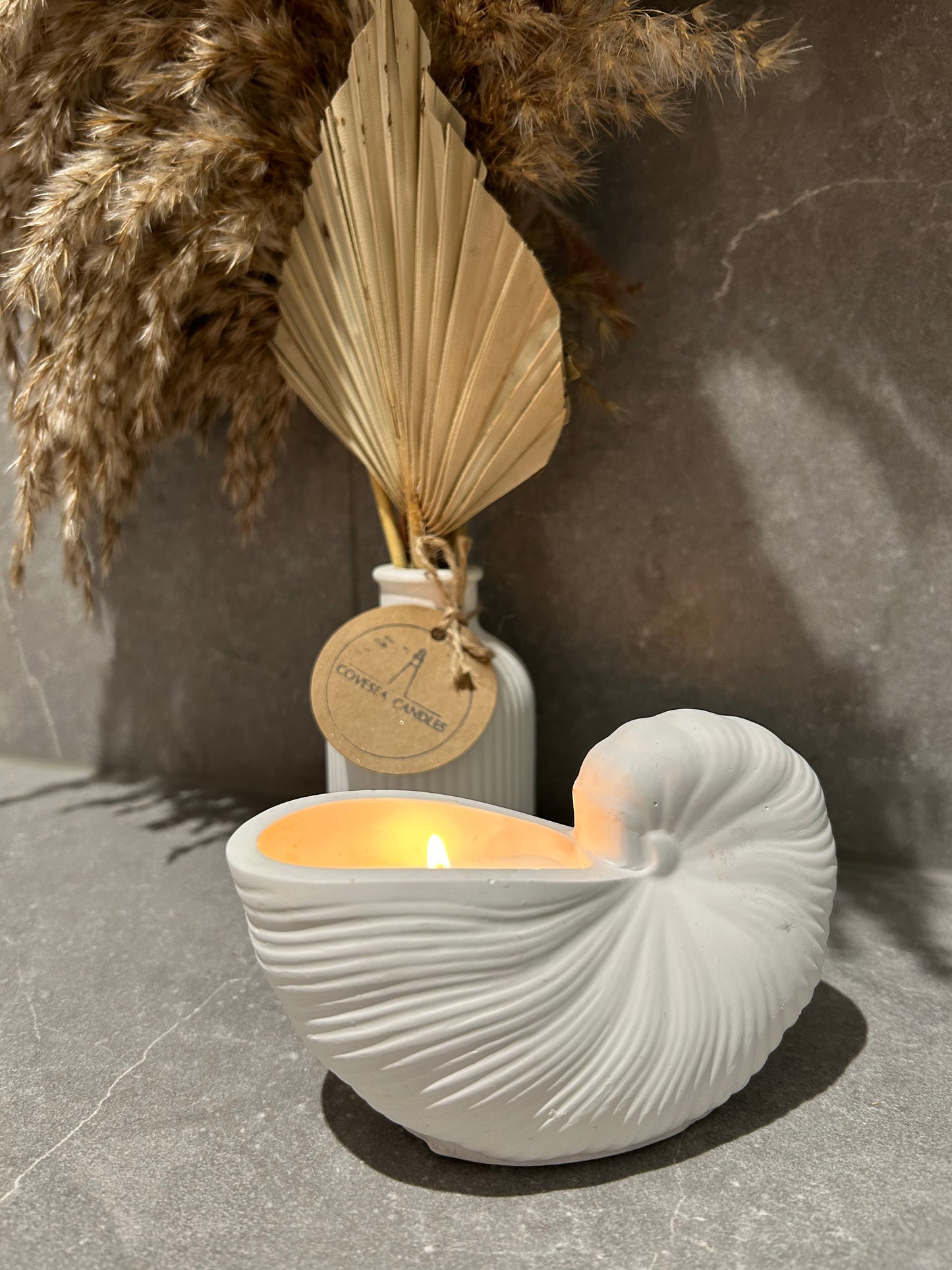 Periwinkle Shell Candle