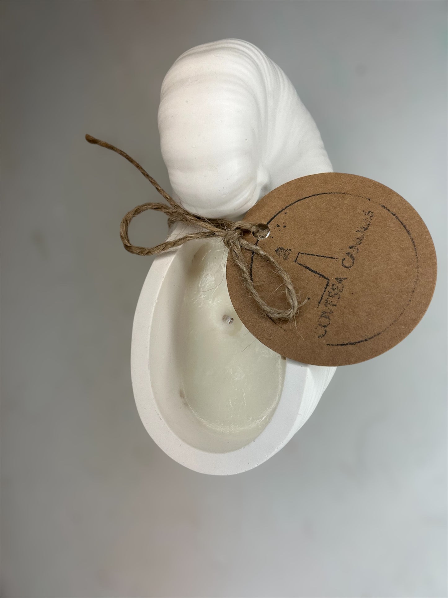 Periwinkle Shell Candle